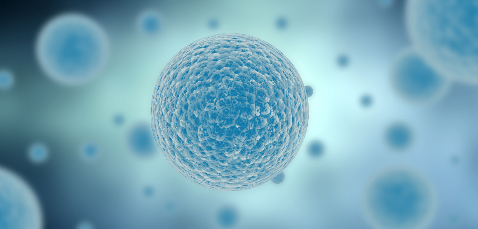 质量铸就品牌 创新成就梦想