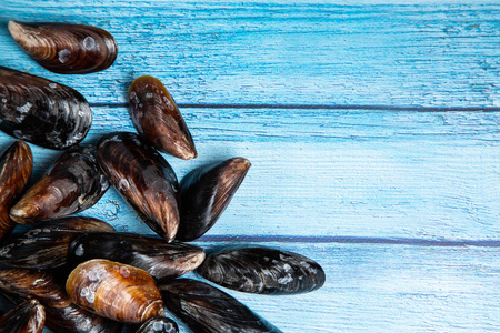 重组贻贝粘蛋白